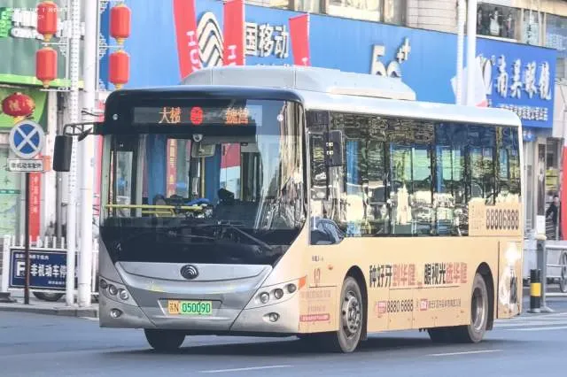 苏N.05009D
