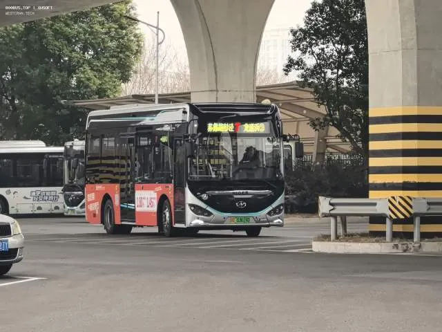 苏E.03619D