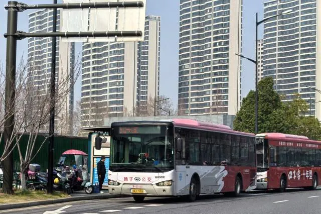 苏A.E2206