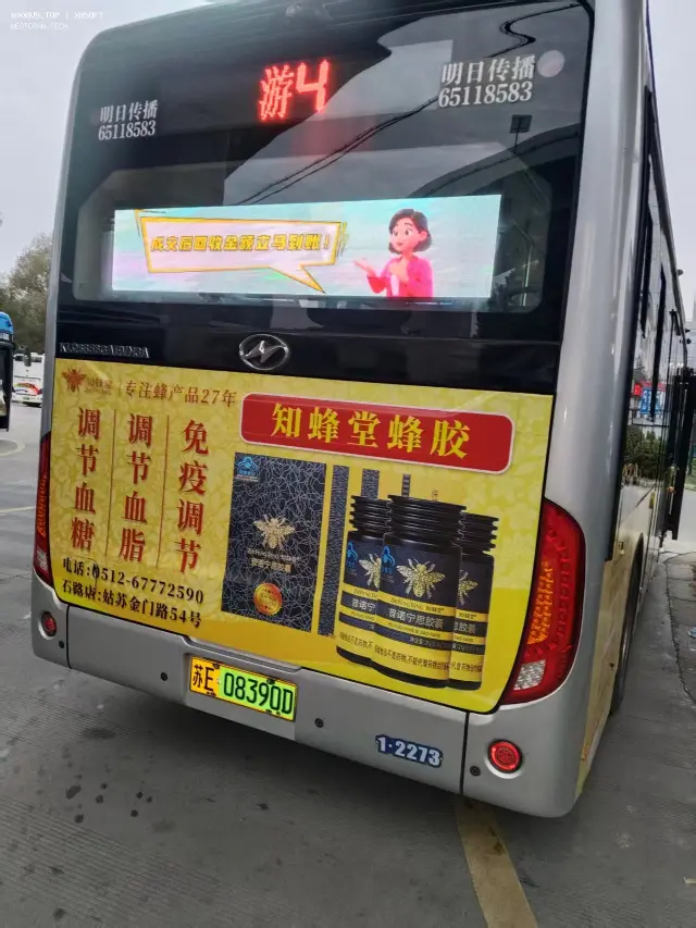 800BUS