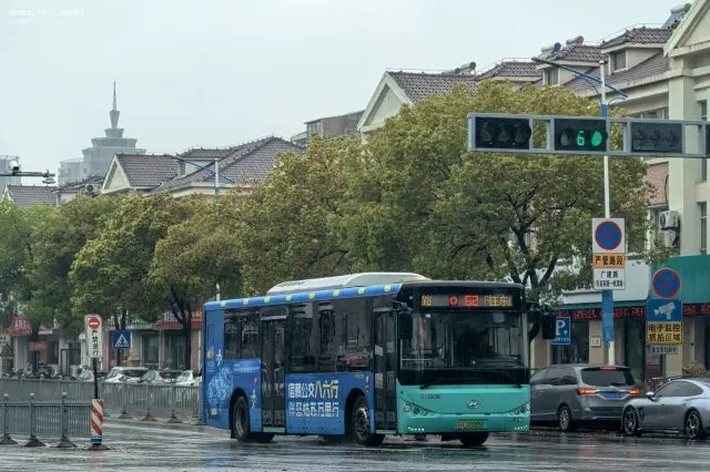 苏E.02065D