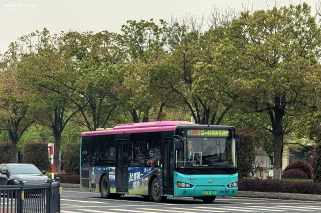 苏E.01987F
