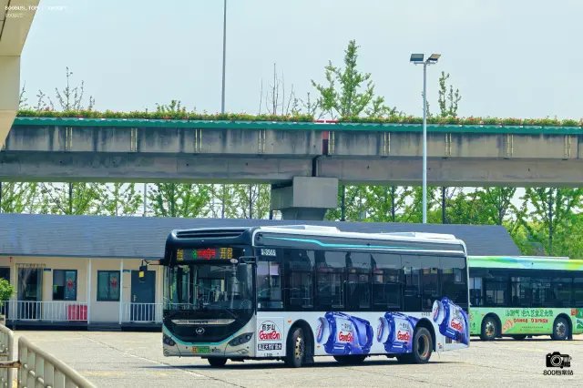 800BUS