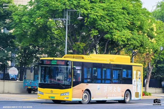 苏N 03969D