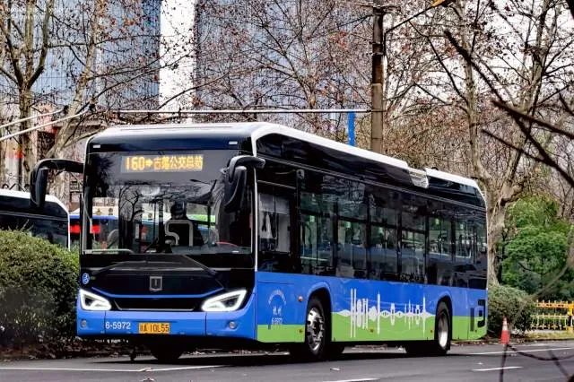 浙A I0L55（6-5972）
