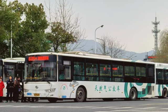 浙A 9S609（12-7365）