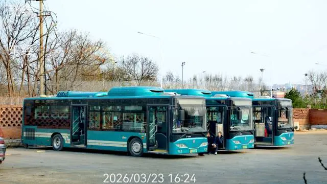 鲁A 07010F