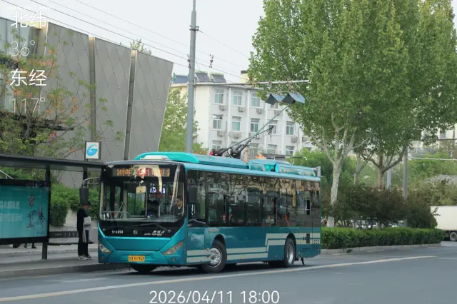 800BUS