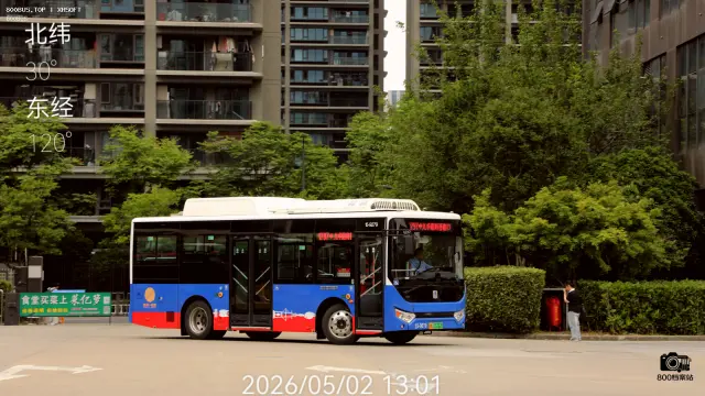 浙A 05782D