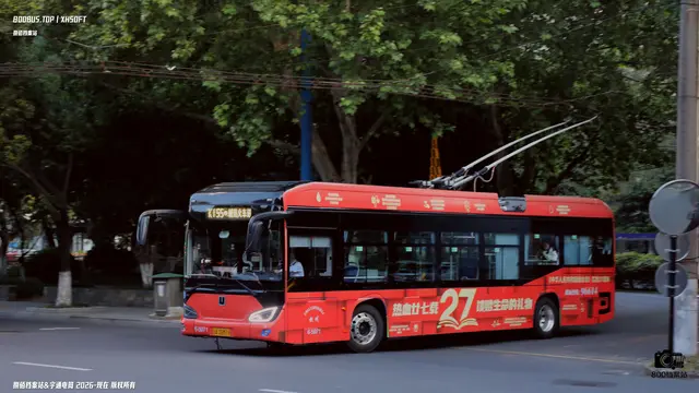 浙A 35M19(6-5971)