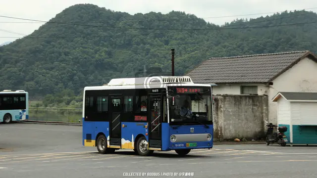 浙A 01069D