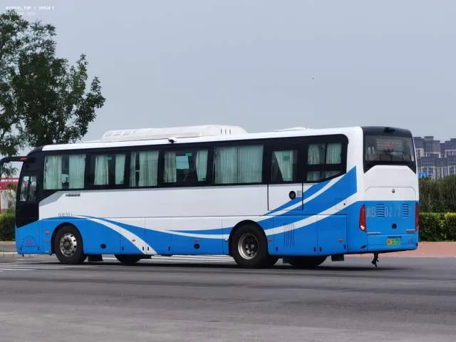 冀B·02172D
