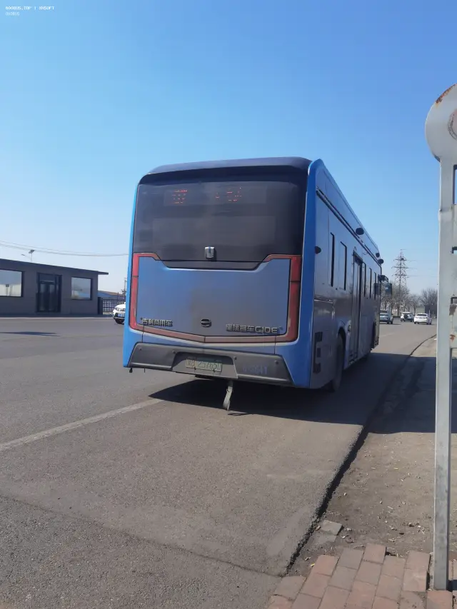 800BUS