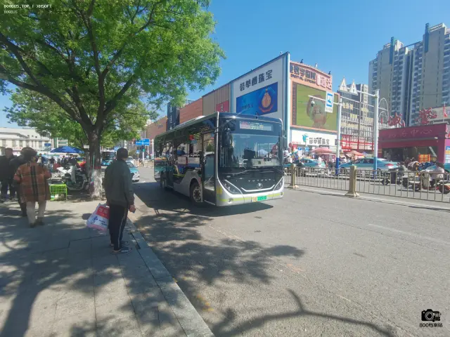 800BUS