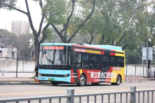 浙B33875D