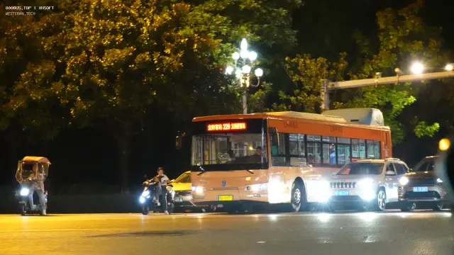 800BUS