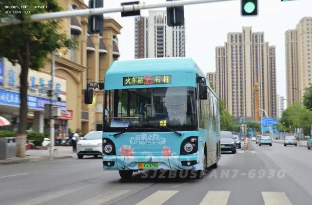 冀E 07379D