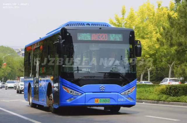 冀A 01666D