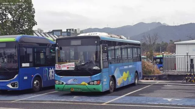 浙A·03538D
