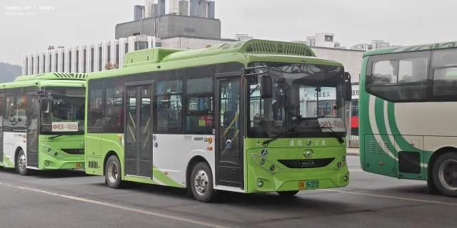浙A·36205D