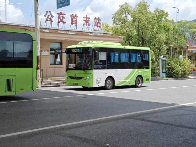 浙A37706D