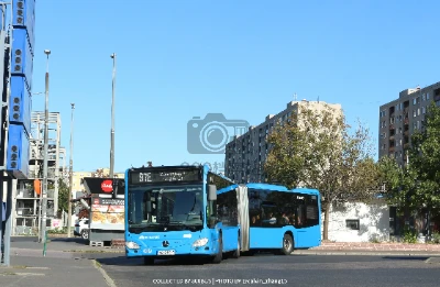 AO IM-031