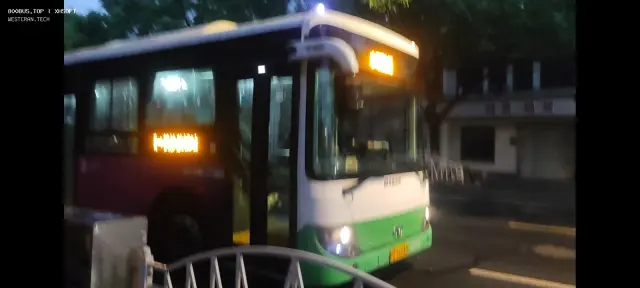 800BUS