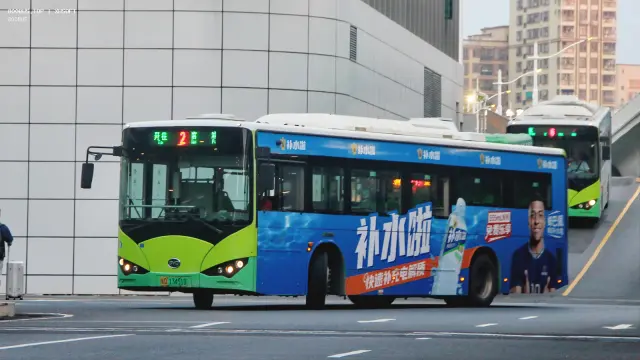 800BUS