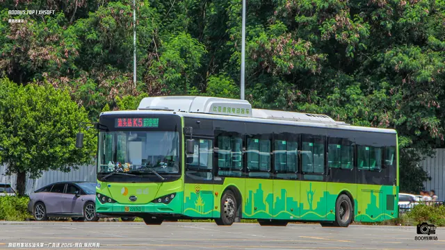 粤D 22816D
