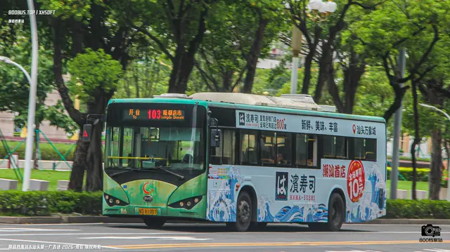 粤D 81007
