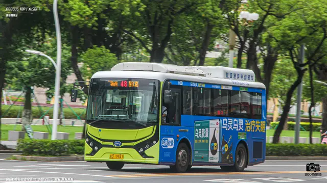 粤D 19547