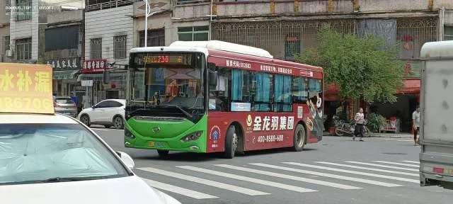 粤L·00628D