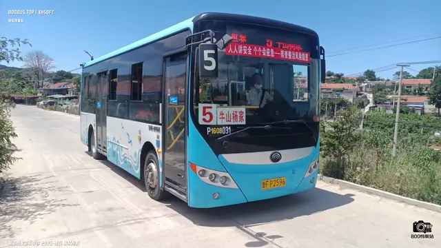 800BUS