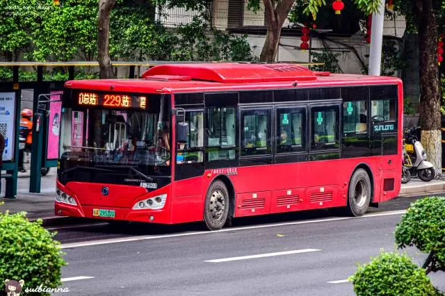 粤A29532D