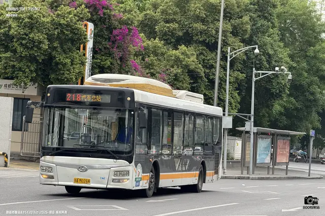 川A M0268