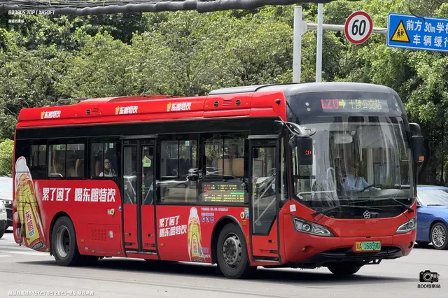 800BUS