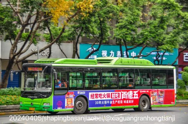 渝BT5953