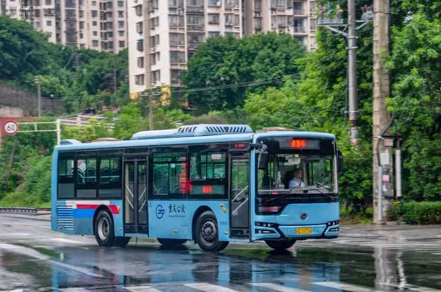 渝D33776D