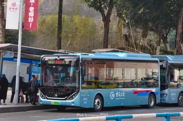 渝A78023D