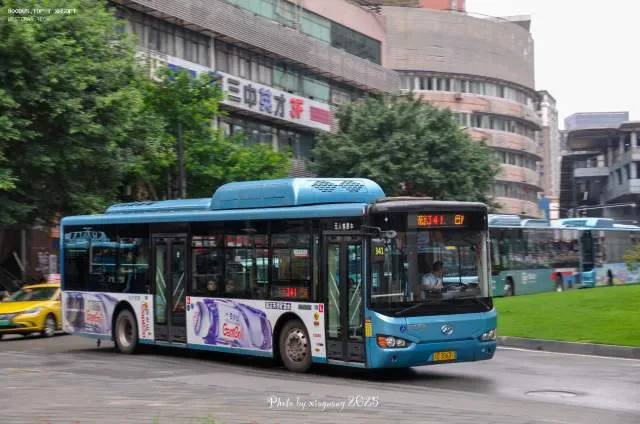 渝D30631