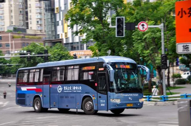 渝D70833