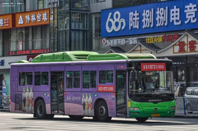 渝A69521