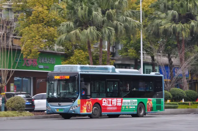 渝A17792