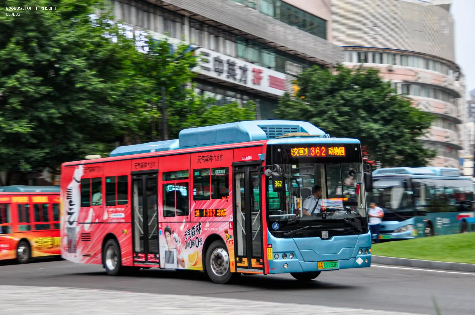 Bus Archive