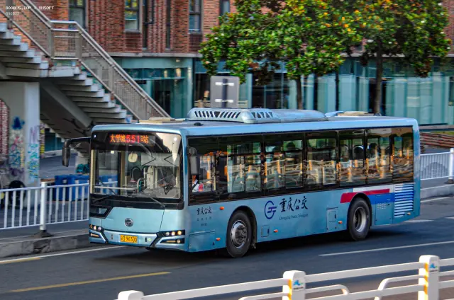 渝D 96300