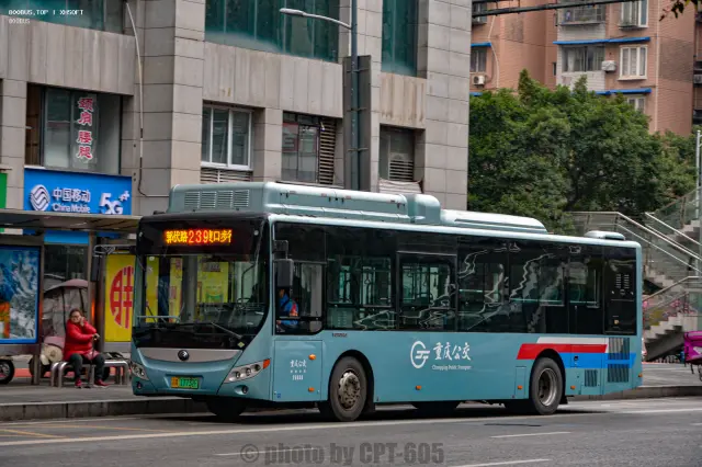 800BUS