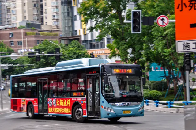 800BUS
