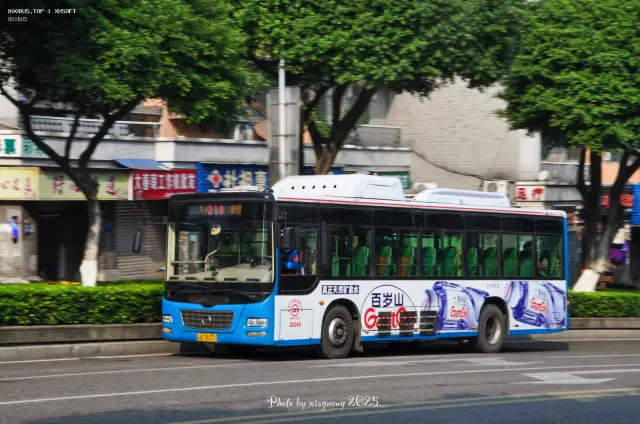 800BUS