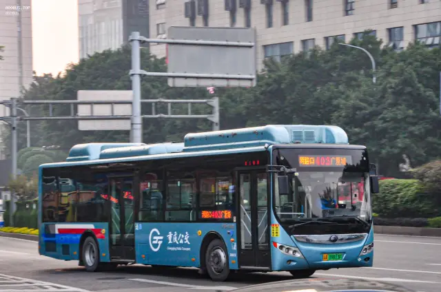 800BUS