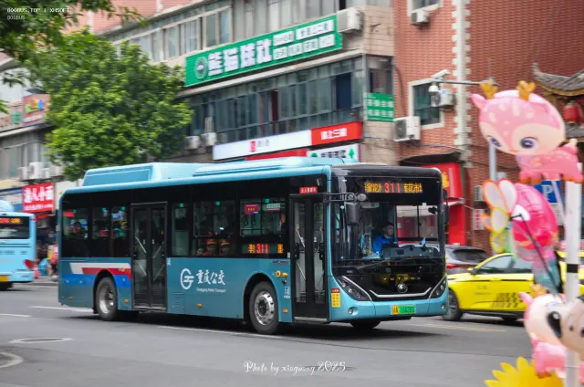 800BUS